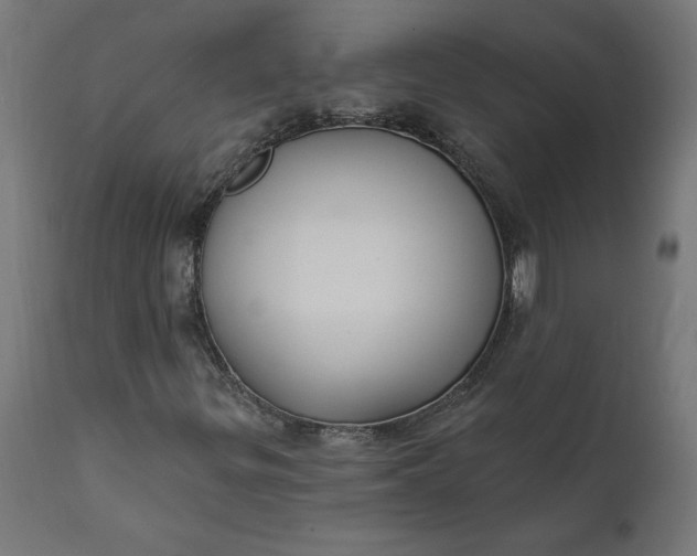 X0000111481299200907281153