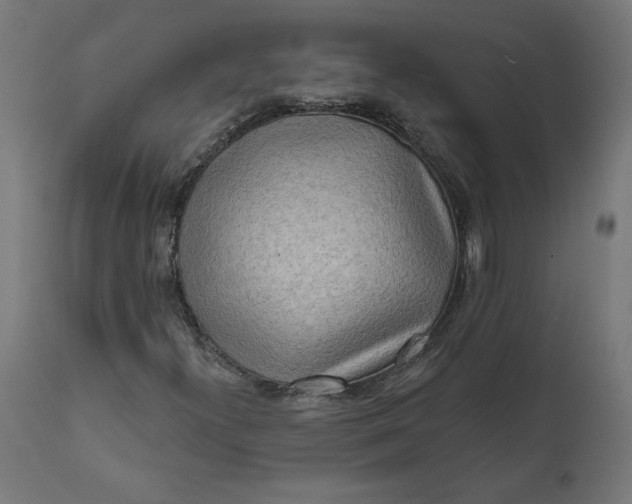 X0000111481300200907281153