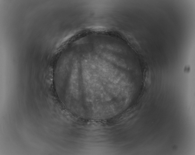 X0000111481301200907281153