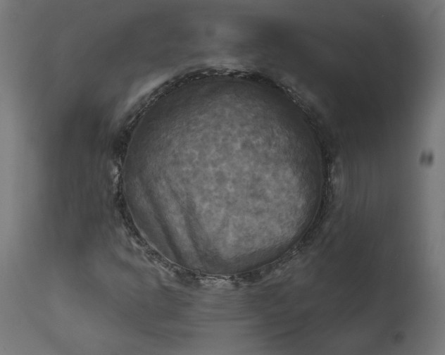 X0000111481302200907281153