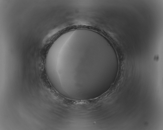 X0000111481303200907281153