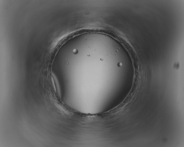 X0000111481304200907281153