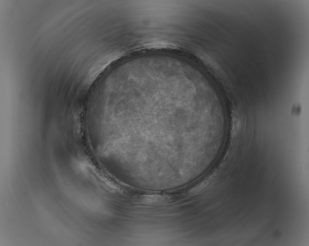 X0000111481305200907281153