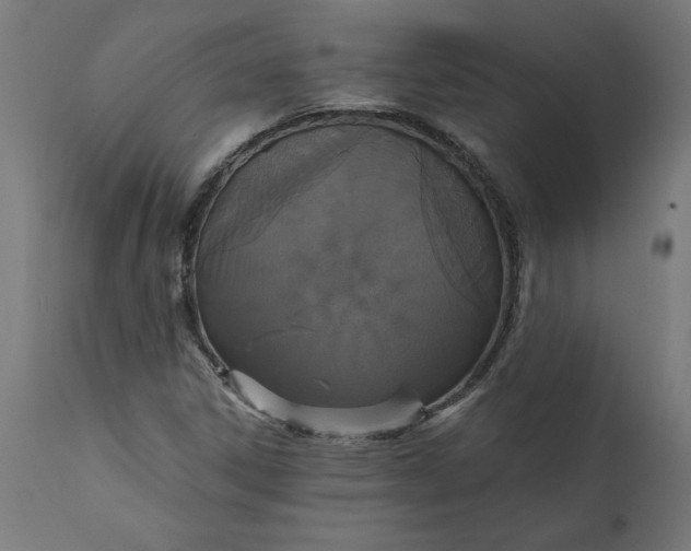 X0000111481306200907281153