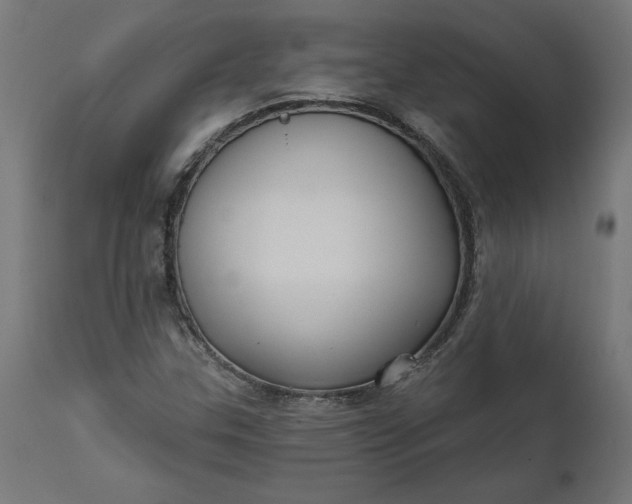 X0000111481307200907281153