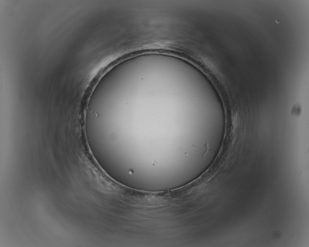 X0000111481308200907281153