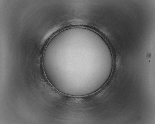 X0000111481309200907281153