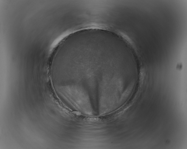 X0000111481310200907281153