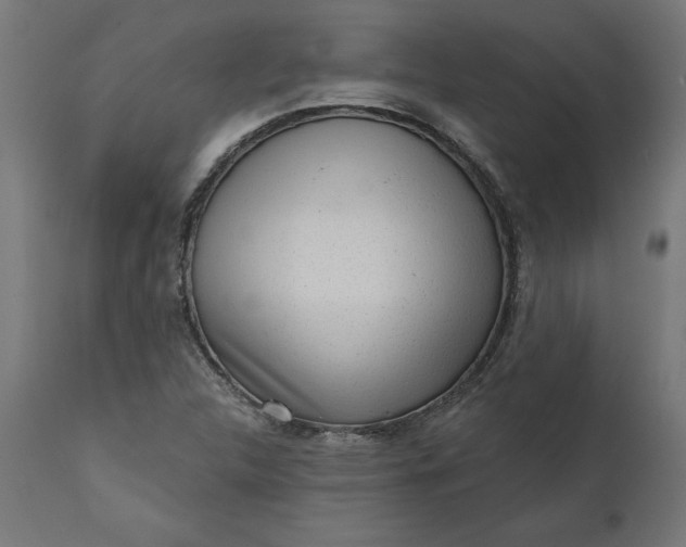 X0000111481312200907281153
