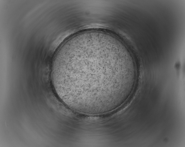 X0000111481313200907281153