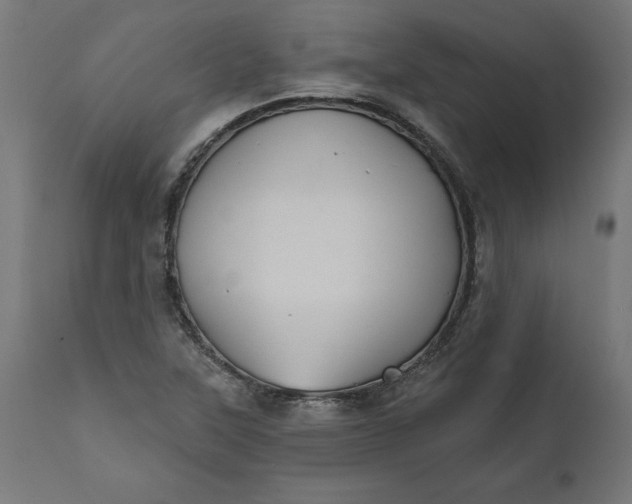 X0000111481315200907281153