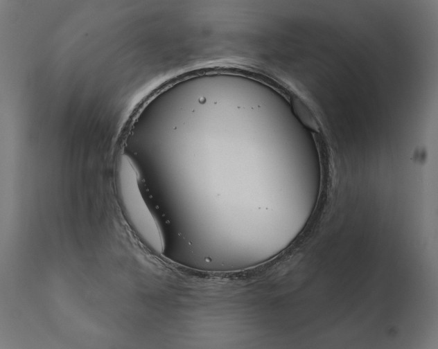 X0000111481316200907281153