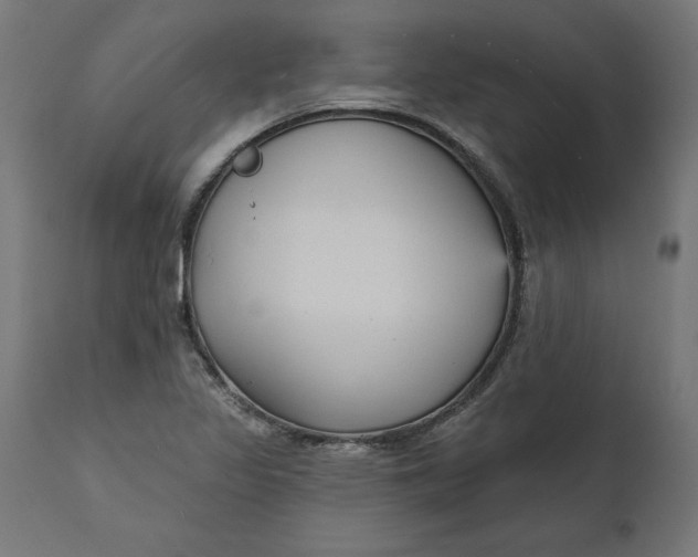 X0000111481317200907281153