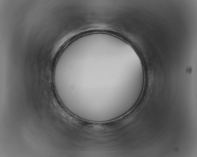X0000111481318200907281153