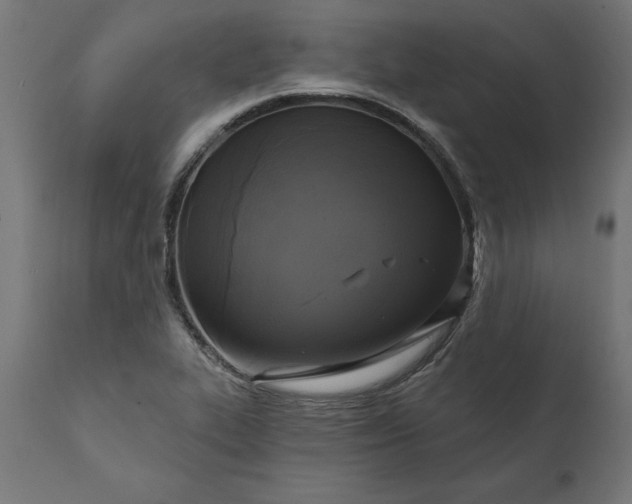 X0000111481319200907281153