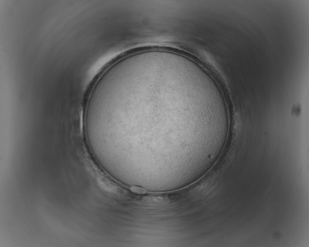 X0000111481320200907281153