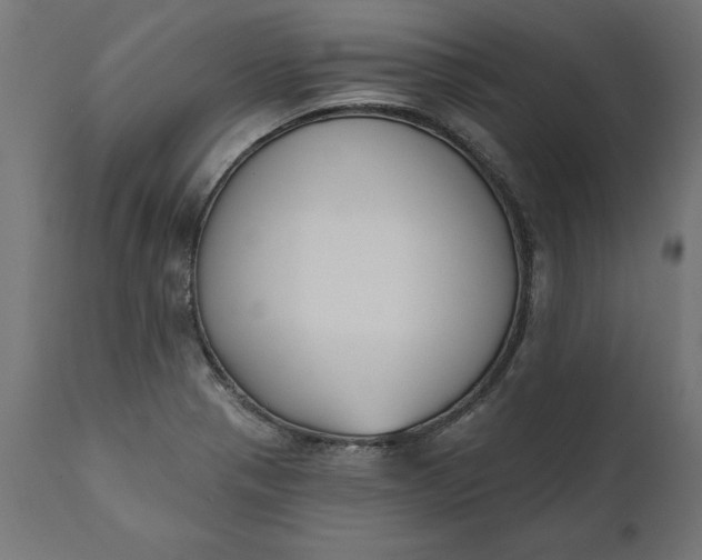 X0000111481321200907281153