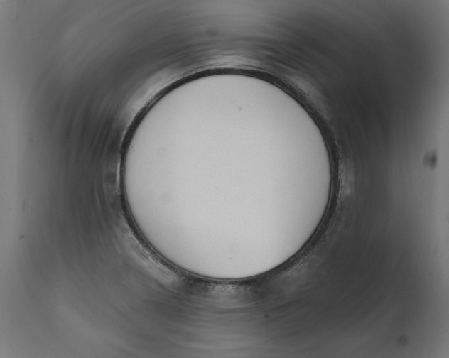 X0000111481322200907281153