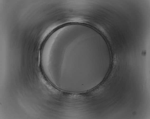 X0000111481323200907281153