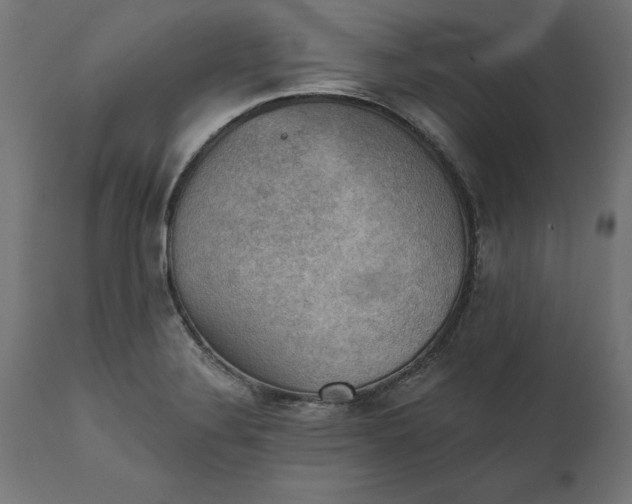 X0000111481324200907281153