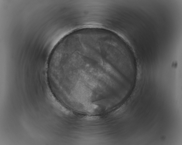 X0000111481325200907281153