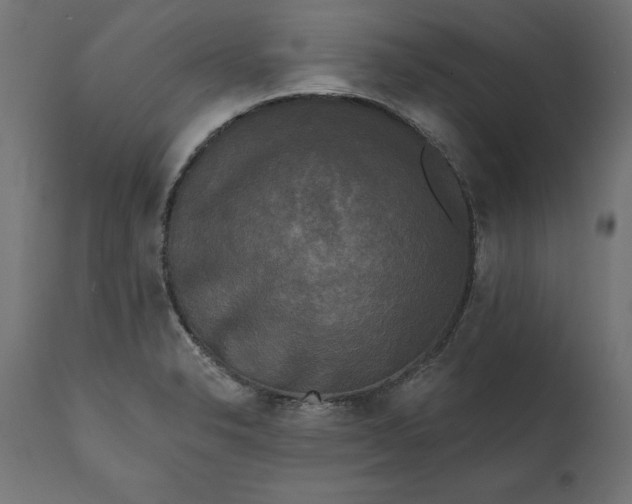 X0000111481326200907281153