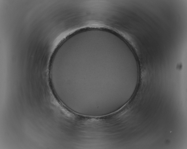 X0000111481327200907281154
