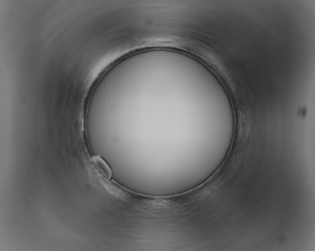 X0000111481328200907281154