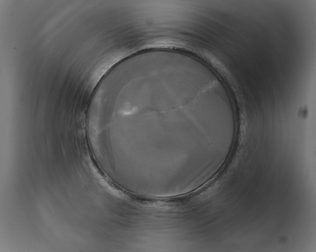 X0000111481329200907281154