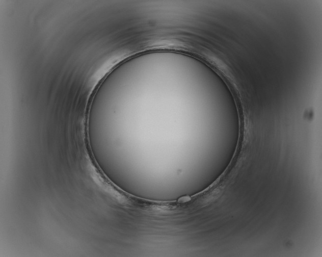 X0000111481330200907281154