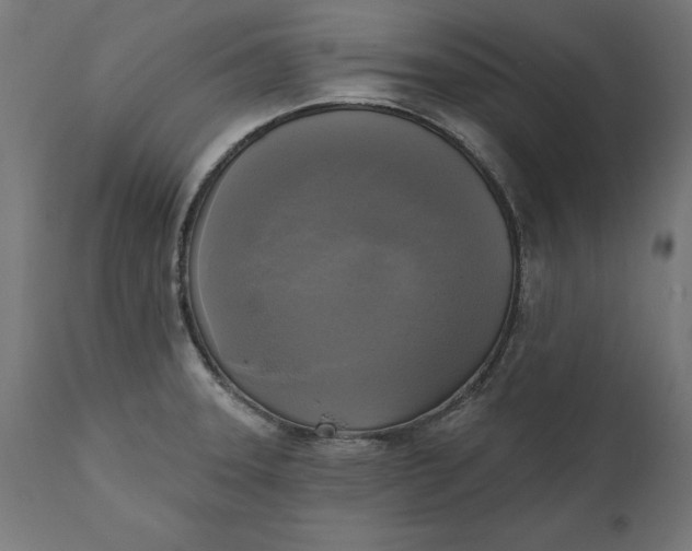 X0000111481331200907281154