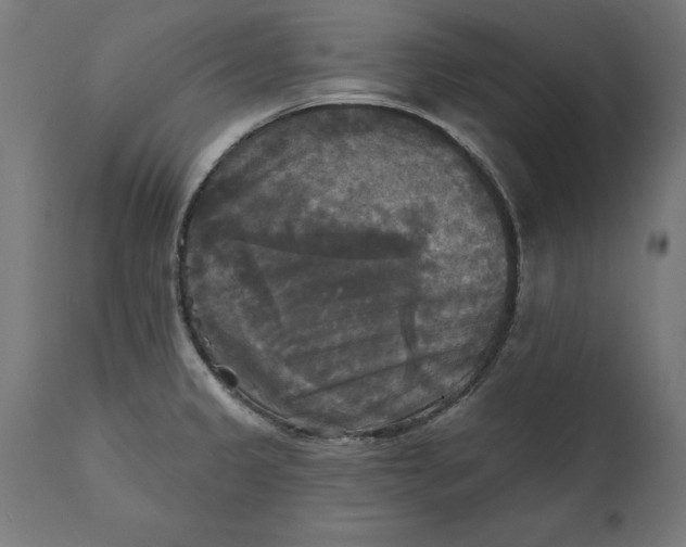 X0000111481333200907281154
