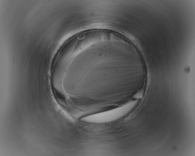 X0000111481334200907281154