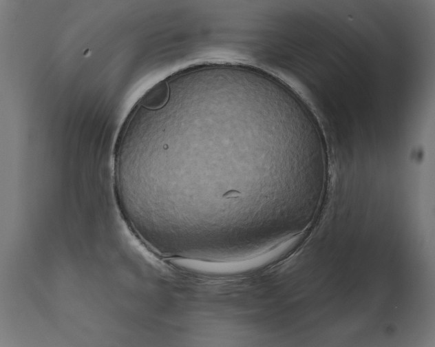 X0000111481335200907281154