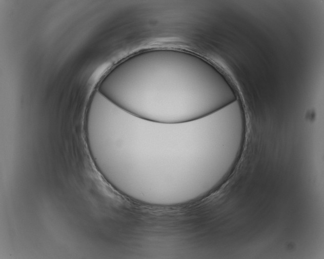 X0000111481336200907281154
