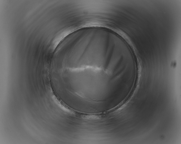 X0000111481337200907281154