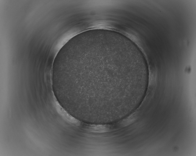 X0000111481338200907281154