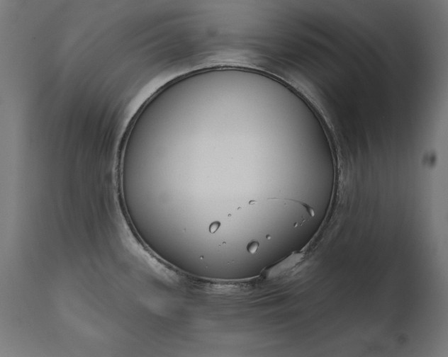 X0000111481339200907281154