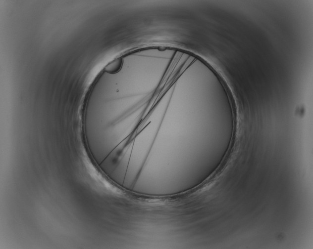 X0000111481341200907281154