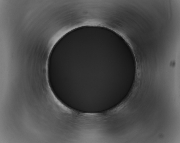 X0000111481343200907281154