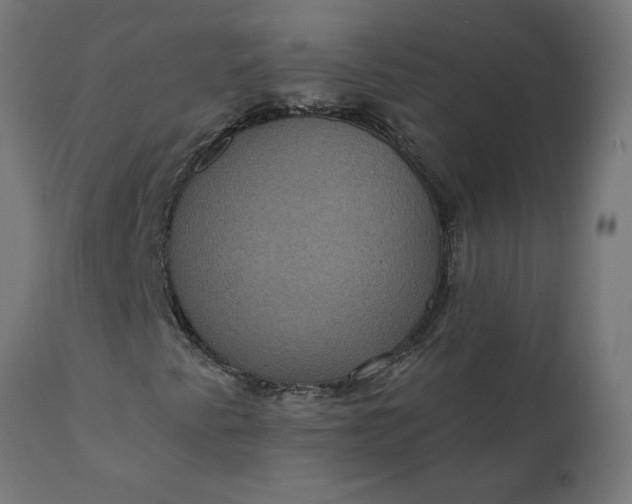 X0000111481345200907281153