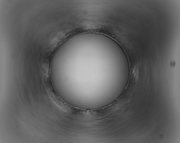 X0000111481348200907281153