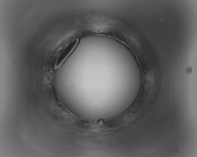 X0000111481349200907281153