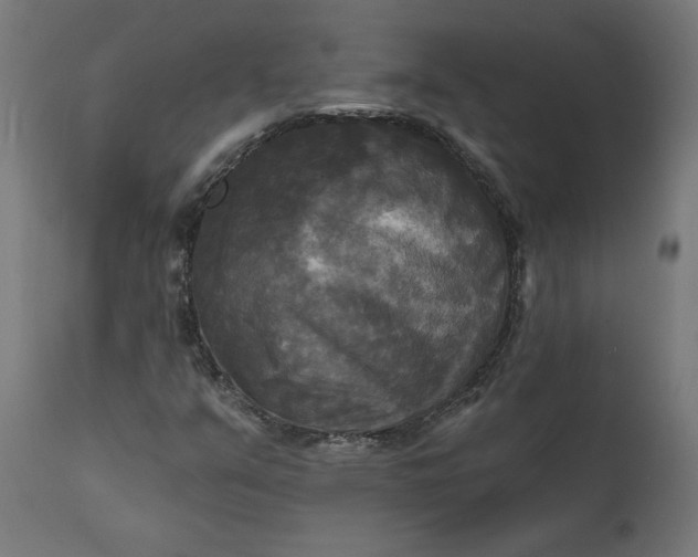 X0000111481351200907281153