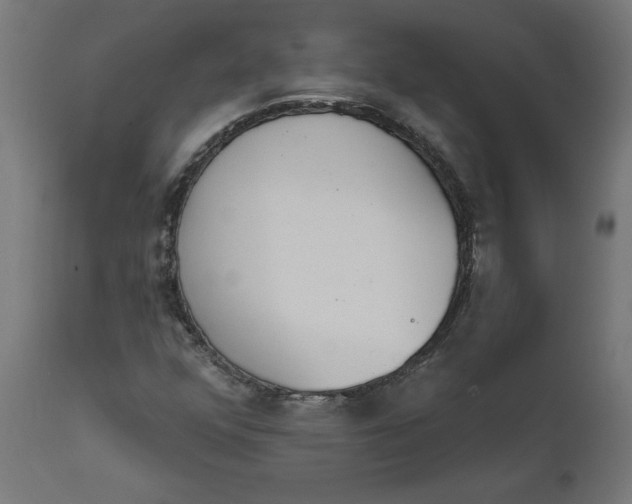 X0000111481352200907281153
