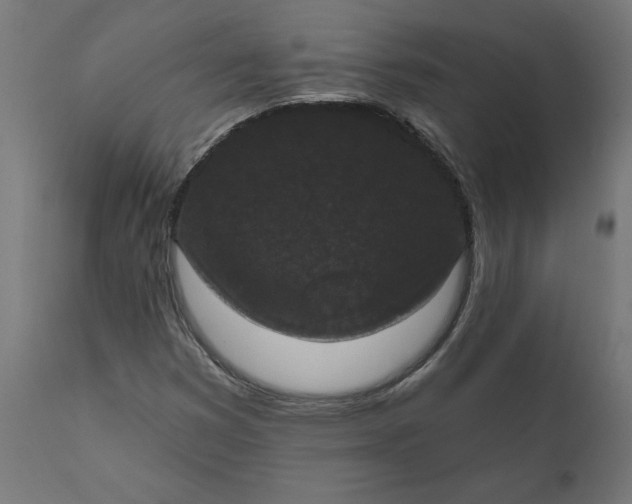 X0000111481353200907281153