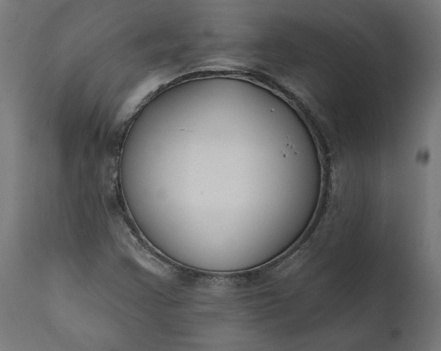 X0000111481355200907281153