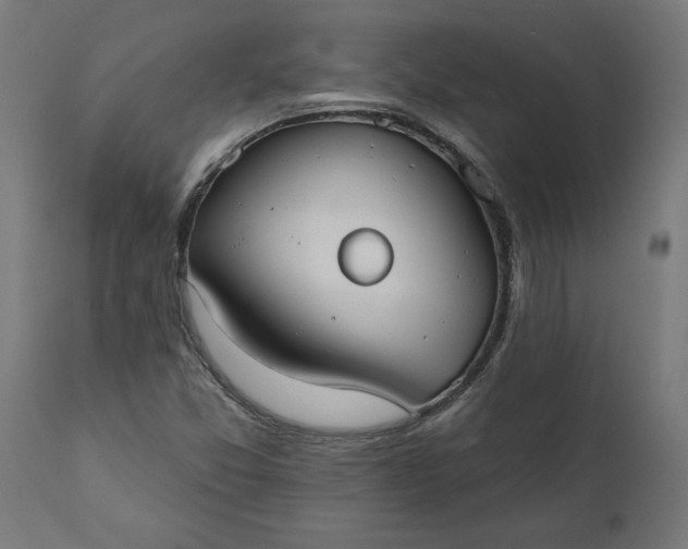X0000111481357200907281152