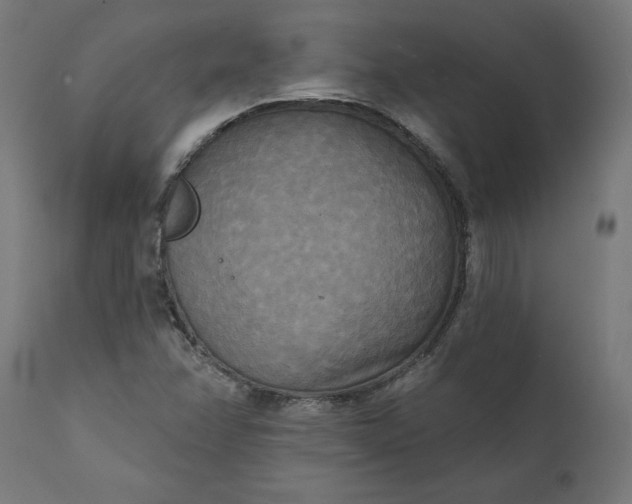 X0000111481358200907281152