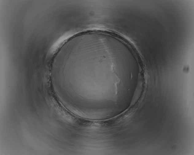 X0000111481359200907281152
